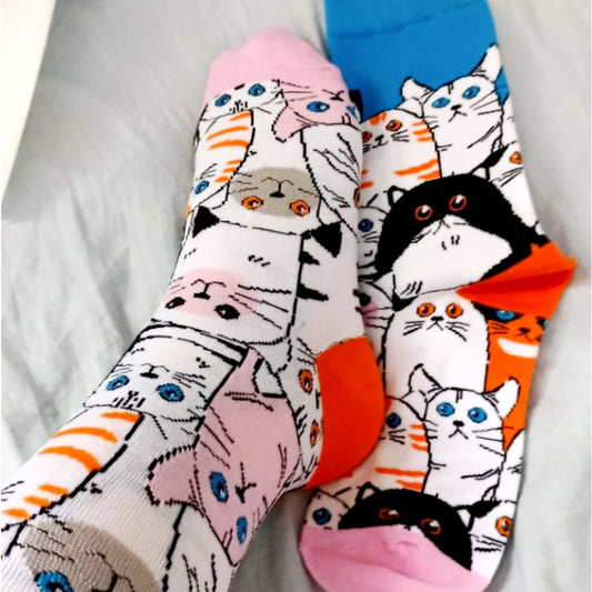 Cat Socks from the Sock Panda (Adult Medium - Women's Shoe Sizes 5 - 10)
