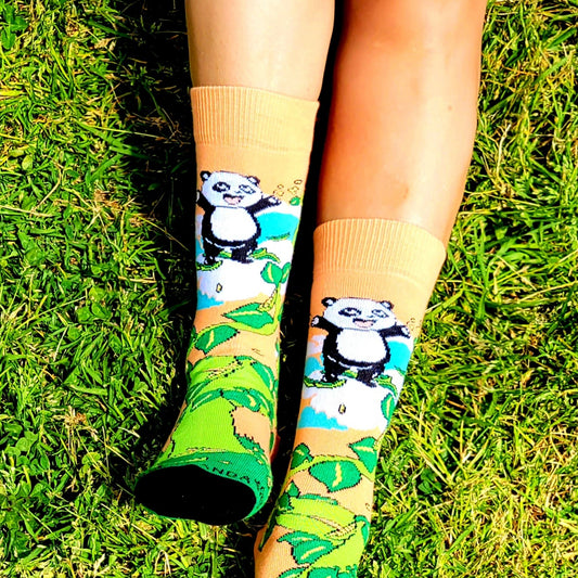 Panda and the Beanstalk Socks from the Sock Panda (Adult Small - Shoe Sizes 2 - 5)