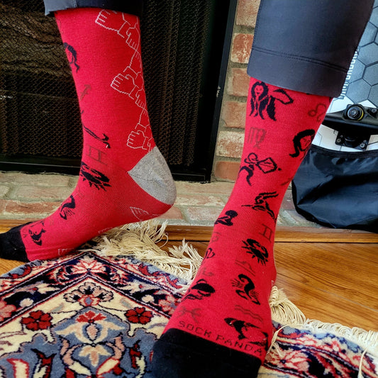 Zodiac Socks from the Sock Panda (Adult Large - Men's Shoe Sizes 8 - 12)
