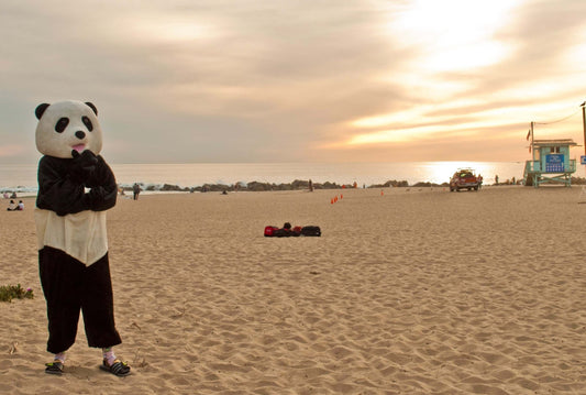 Socks and Sandals Sock Panda