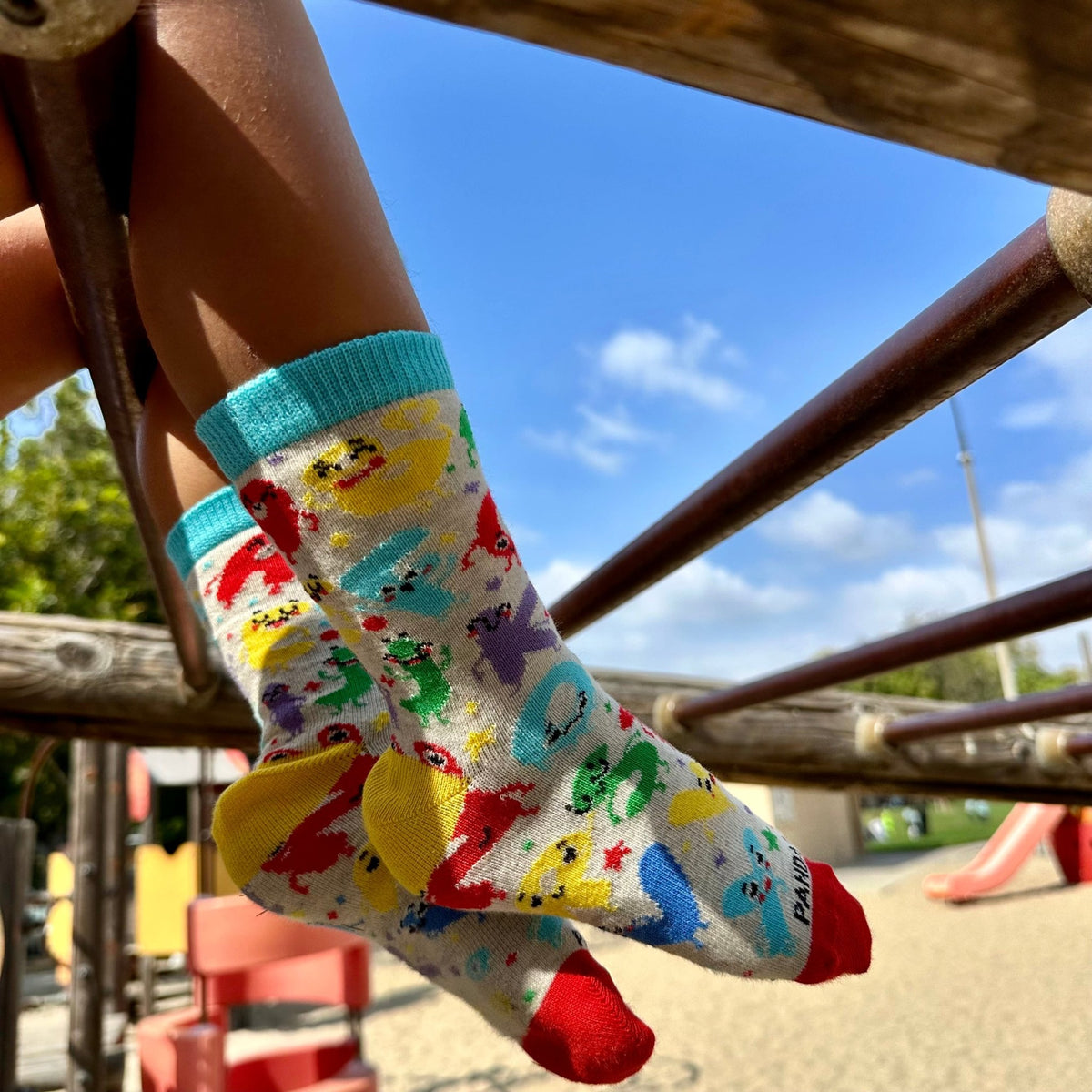 Alphabet Letters Come Alive Socks from the Sock Panda (Ages 3 - 7)