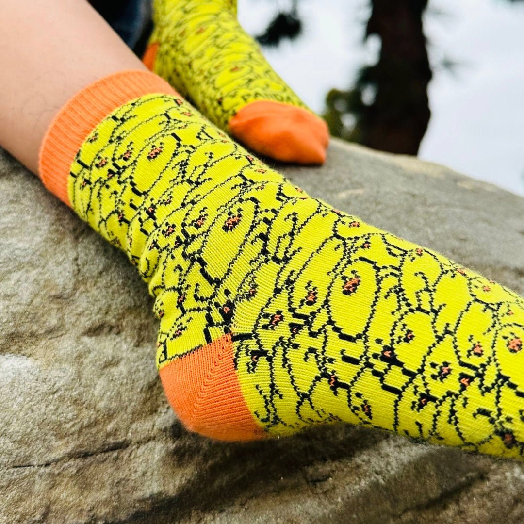 Baby Chick Pattern Socks from the Sock Panda (Ages 3 - 7)