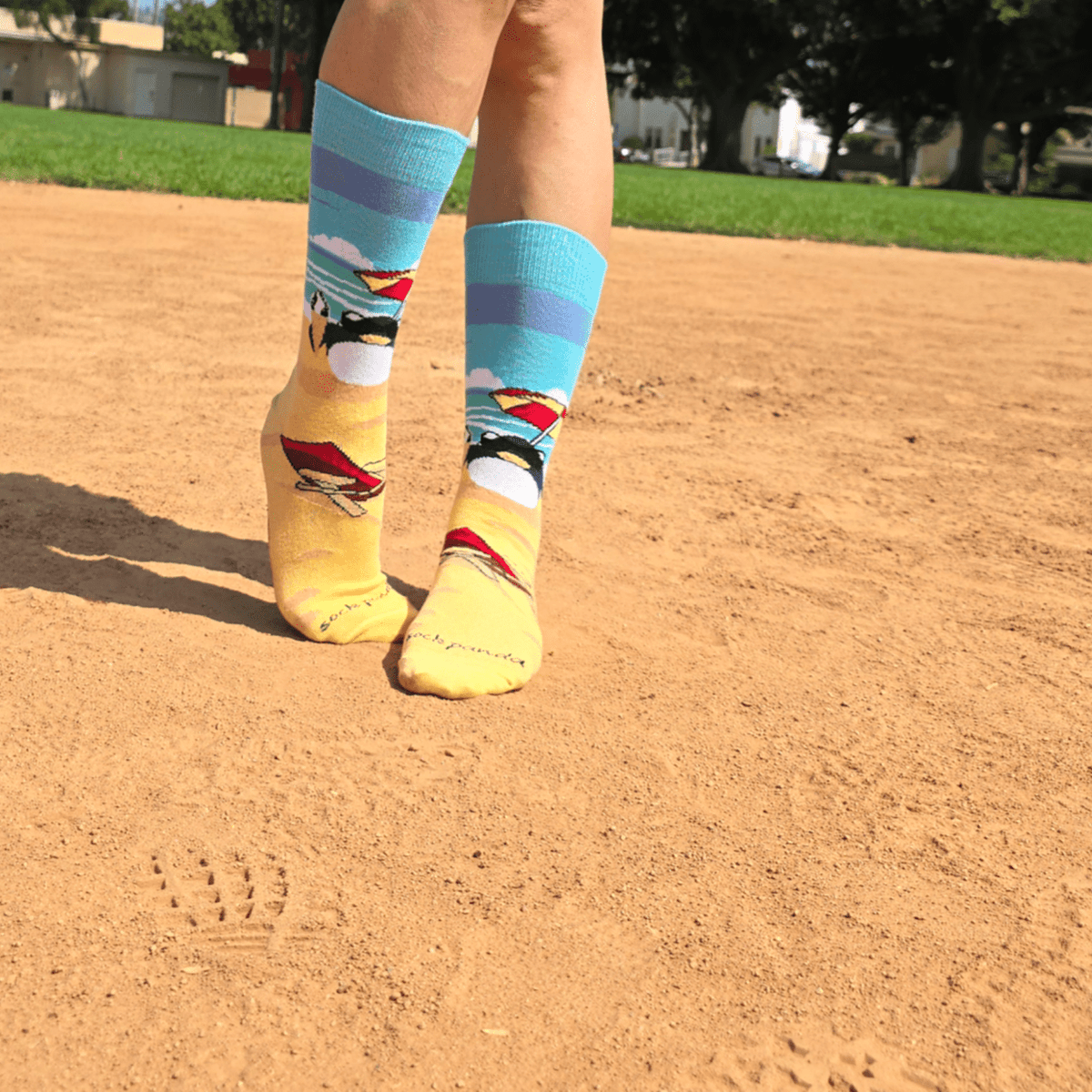Beach Penguin Socks from the Sock Panda (Adult Medium - Women's Shoe Sizes 5 - 10)