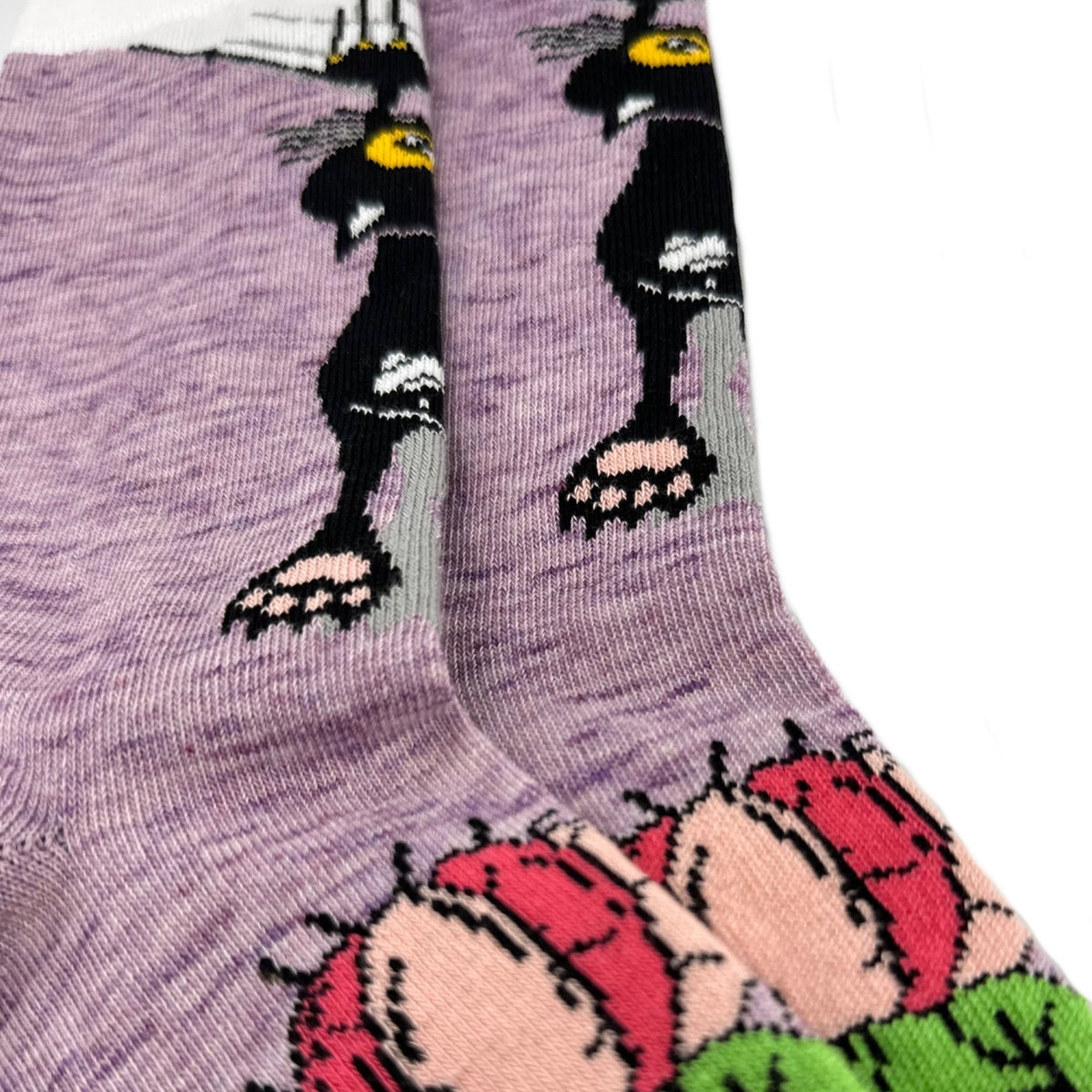 Cactus Cat Socks from the Sock Panda (Adult Medium - Women's Shoe Sizes 5 - 10)