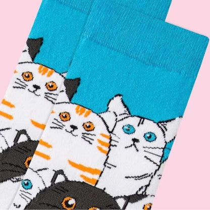 Cat Socks from the Sock Panda (Adult Medium - Women's Shoe Sizes 5 - 10)