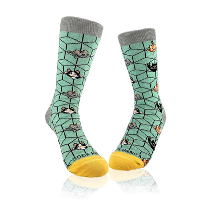 Cats in 3D Socks from the Sock Panda (Adult Small - Shoe Sizes 2 - 5)