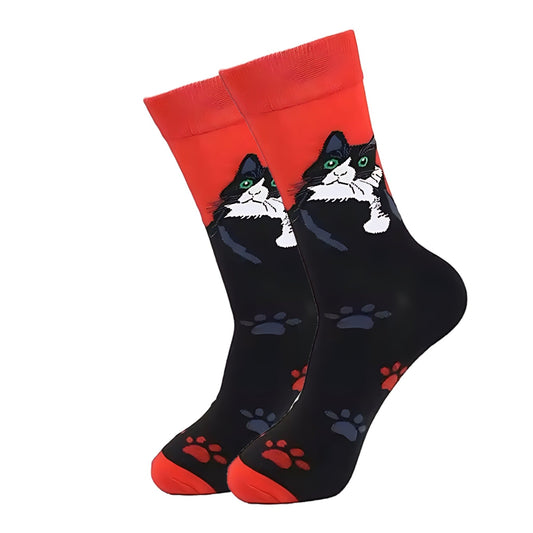 Cool Cat Socks from the Sock Panda (Adult Medium - Women's Shoe Sizes 5 - 10)