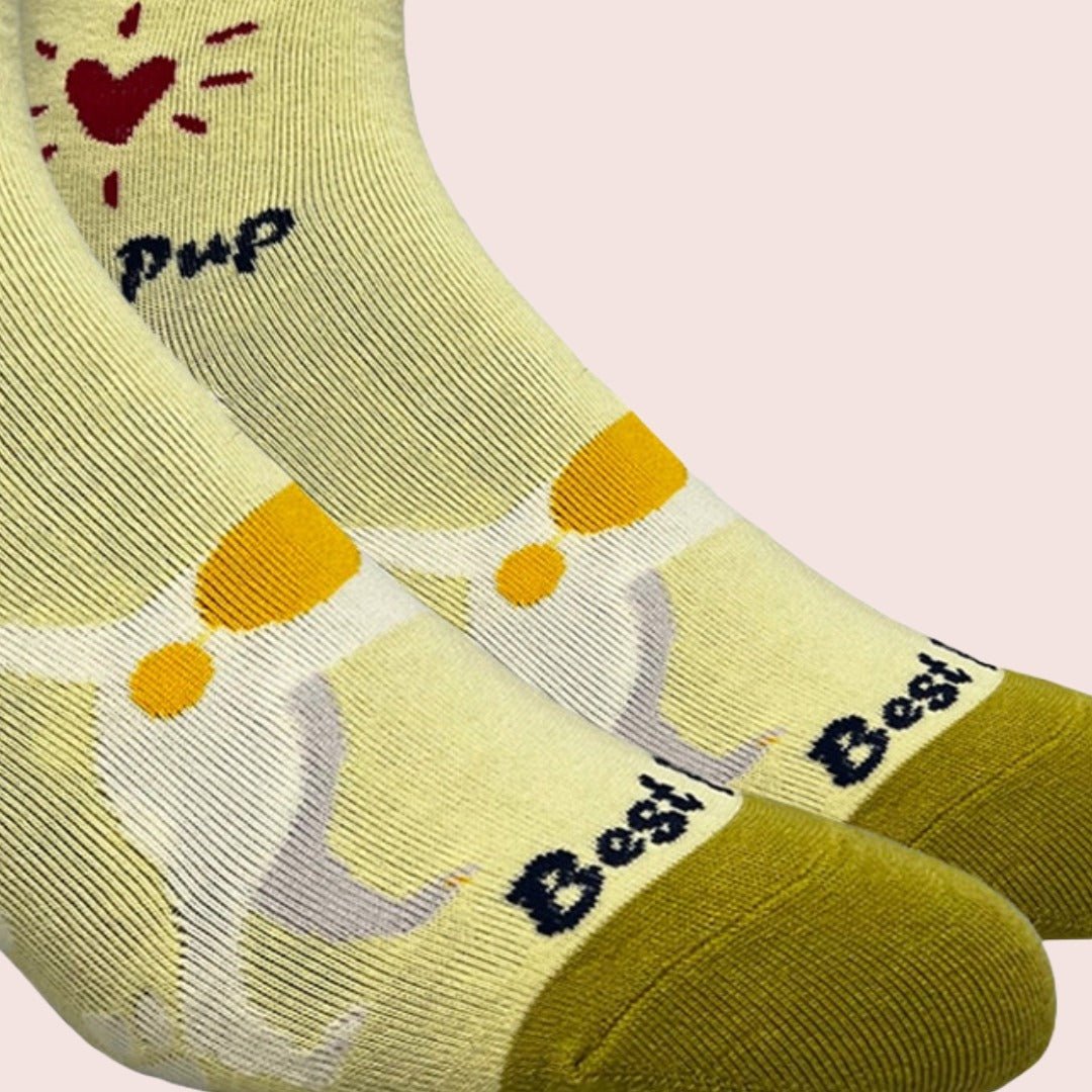 Corgi Dog Socks (Adult Medium - Women's Shoe Sizes 5 - 10)