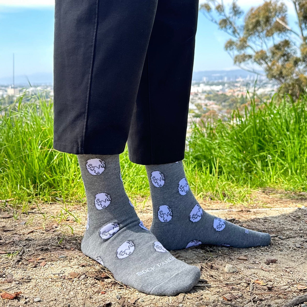 Earth Pattern Socks from the Sock Panda (Adult Large - Men's Shoe Sizes 8 - 12)