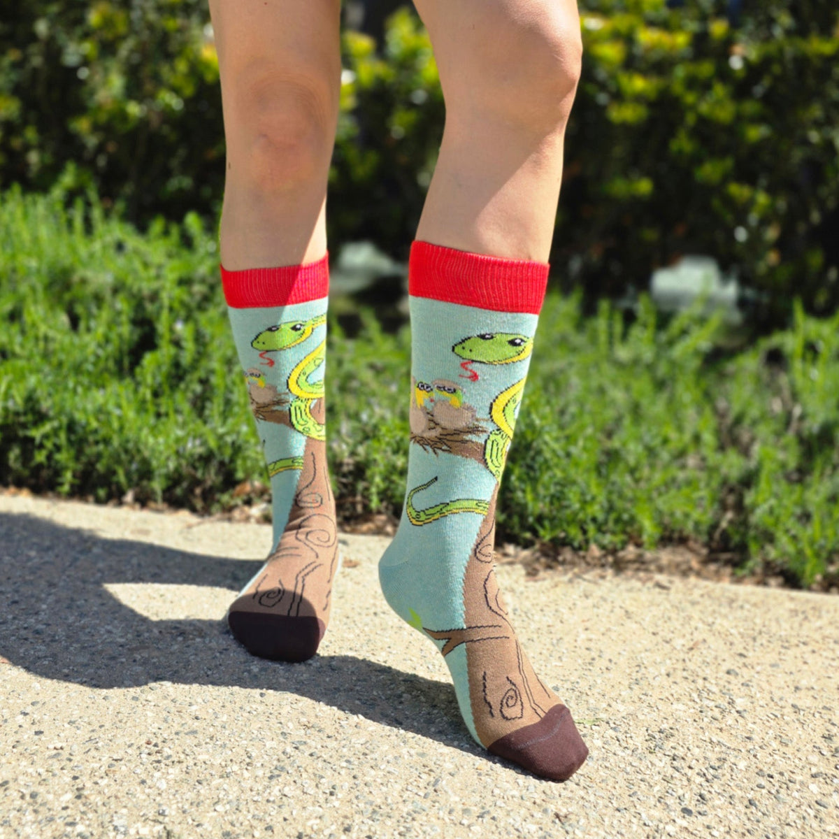 Happy Tree Snake with Babies Socks from the Sock Panda