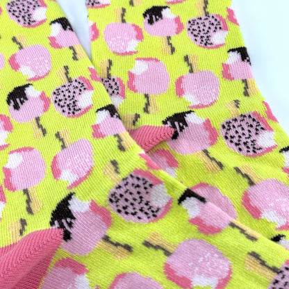 Ice Cream Popsicle Socks from the Sock Panda (Adult Medium - Women's Shoe Sizes 5 - 10)