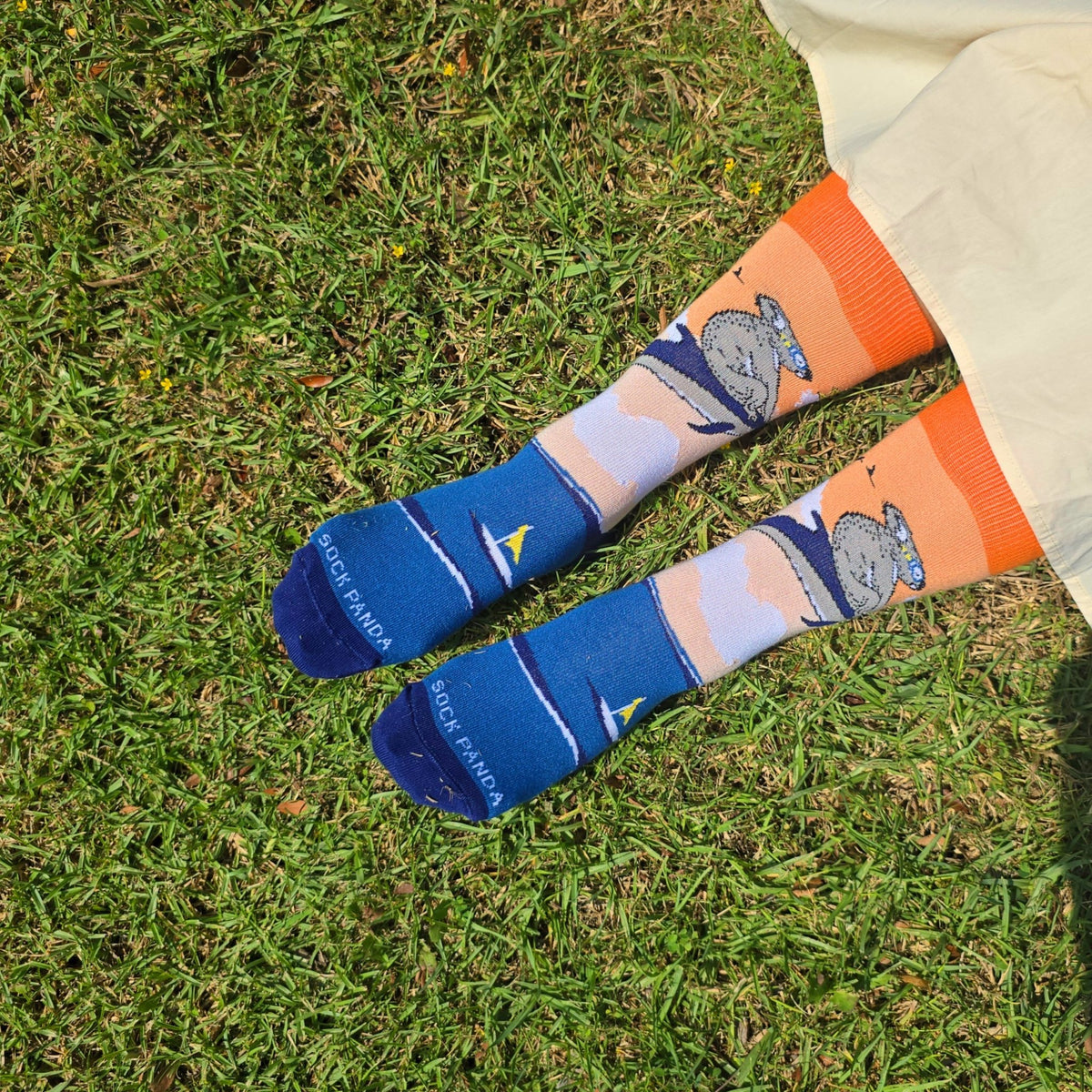Koala Riding a Dolphin Socks from the Sock Panda (Adult Small - Shoe Sizes 2 - 5)
