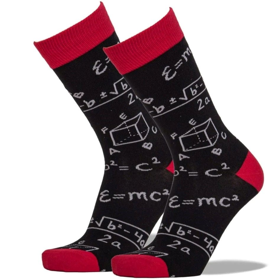 Math Socks from the Sock Panda (Adult Large - Men's Shoe Sizes 8 - 12)