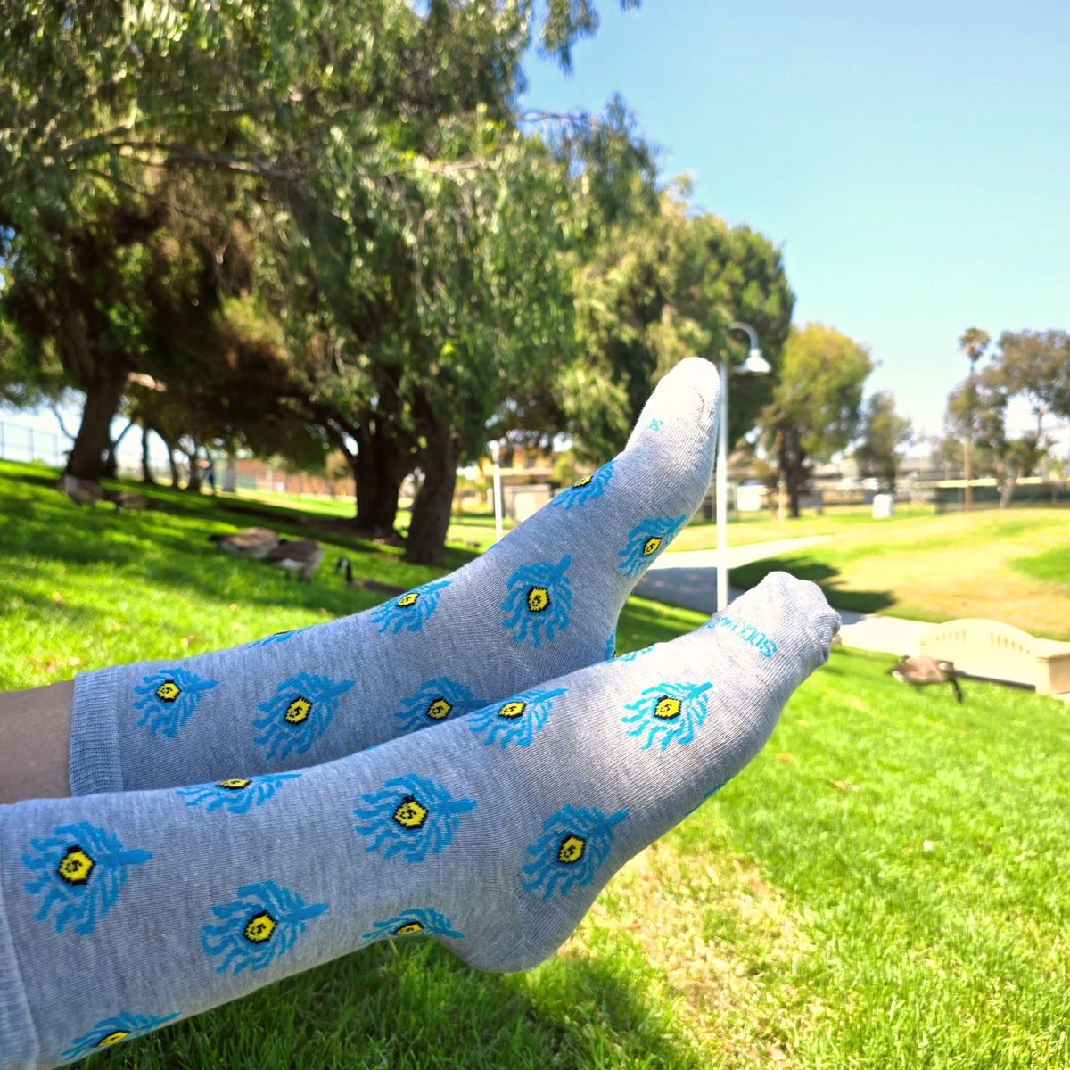 Peacock Feather Pattern Socks from the Sock Panda (Adult Medium - Women's Shoe Sizes 5 - 10)