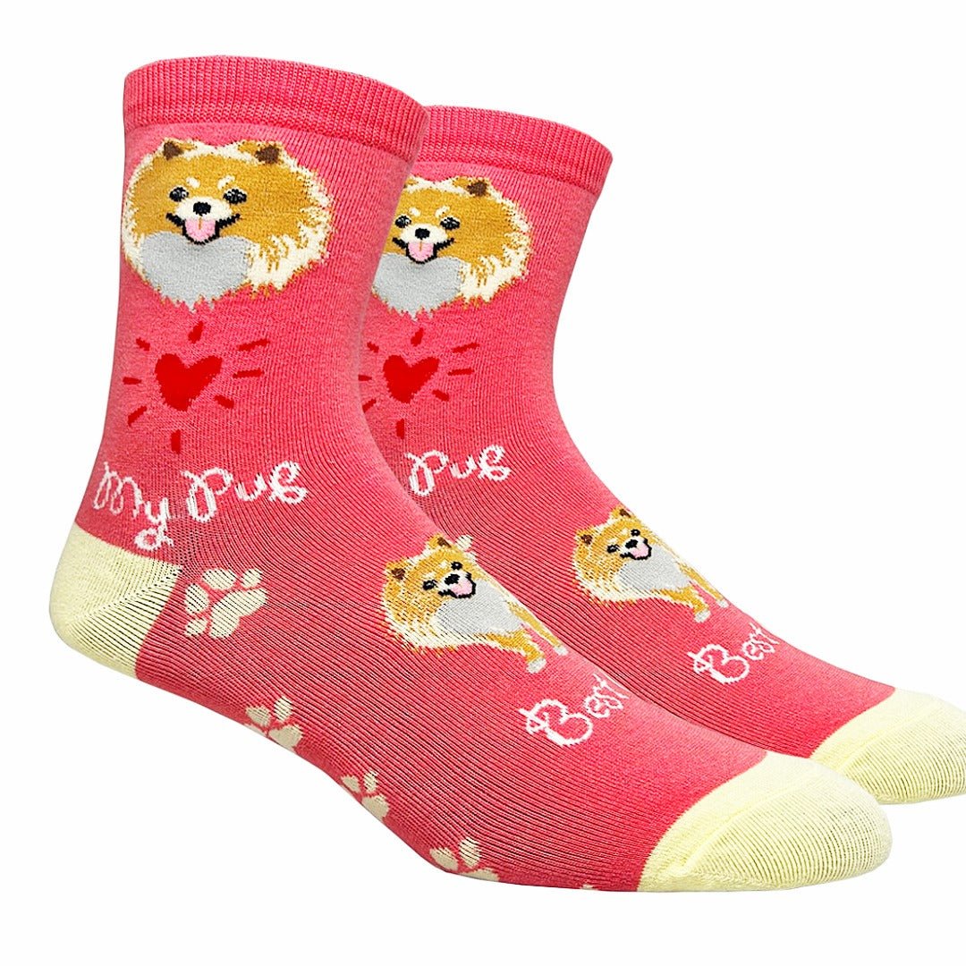 Pomeranian Dog Socks (Adult Medium - Women's Shoe Sizes 5 - 10)