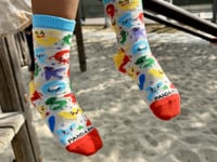 Alphabet Letters Come Alive Socks (Ages 3-7) from the Sock Panda Video