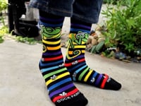 Chameleon Tween Socks from the Sock Panda
