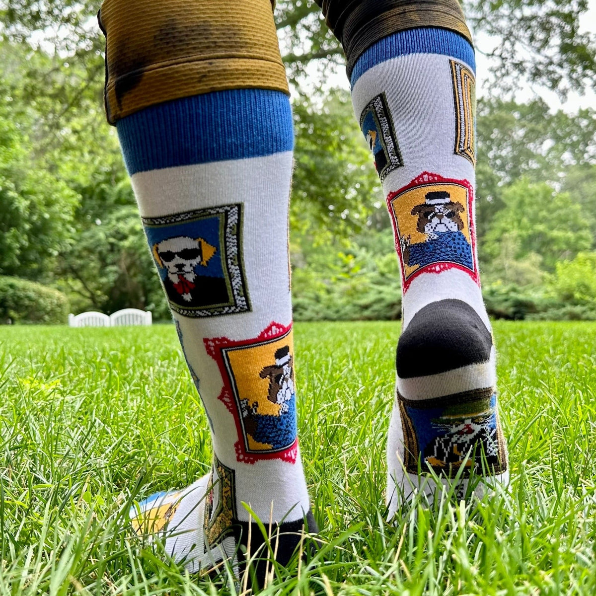Wall Art Museum Dogs and Cats Socks (Adult Large - Men's Shoe Sizes 8 - 12)