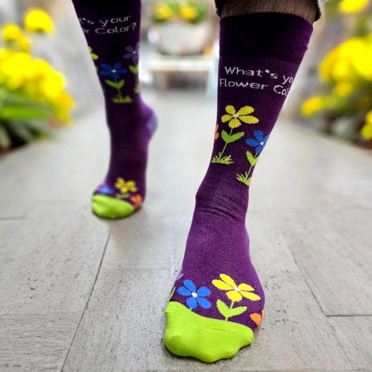 What's Your Flower Color Socks from the Sock Panda