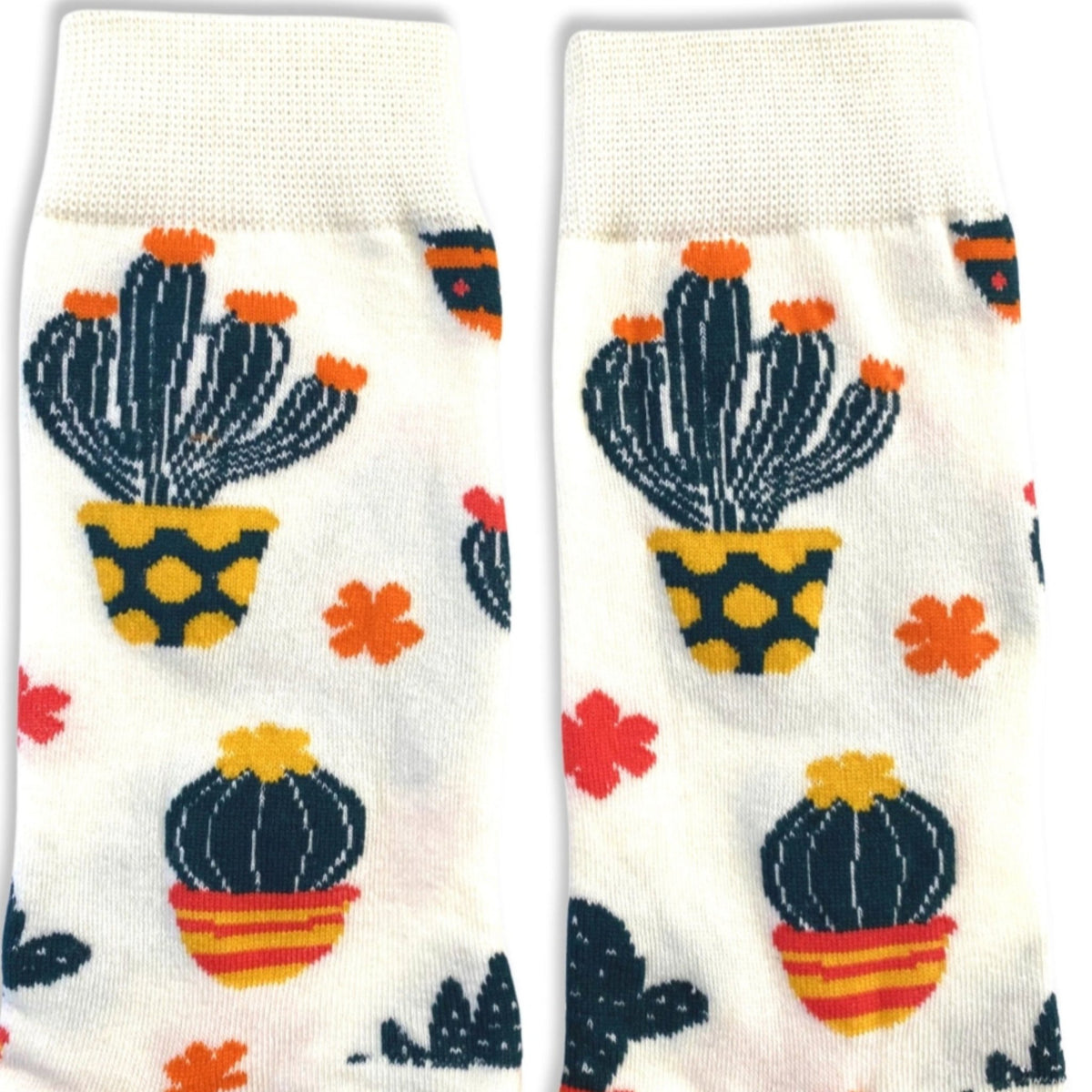 Cactus Pattern Socks (Adult Medium - Women's Shoe Sizes 5 - 10)