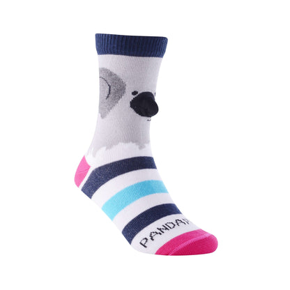 Cute Koala Socks (Ages 3-7) from the Sock Panda