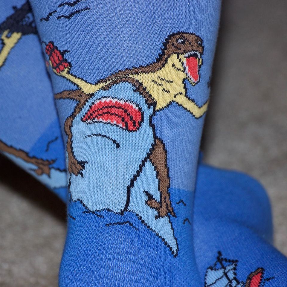 Dinosaur and Shark Socks from the Sock Panda (Adult Large - Men's Shoe Sizes 8 - 12)