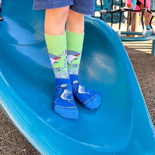Dolphins and Soccer Socks from the Sock Panda (Adult Small - Shoe Sizes 2 - 5)