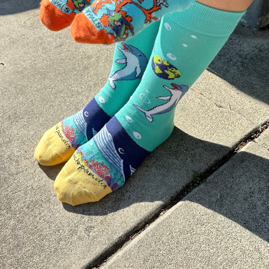 Dolphins and the Earth Socks from the Sock Panda (Adult Medium - Women's Shoe Sizes 5 - 10)
