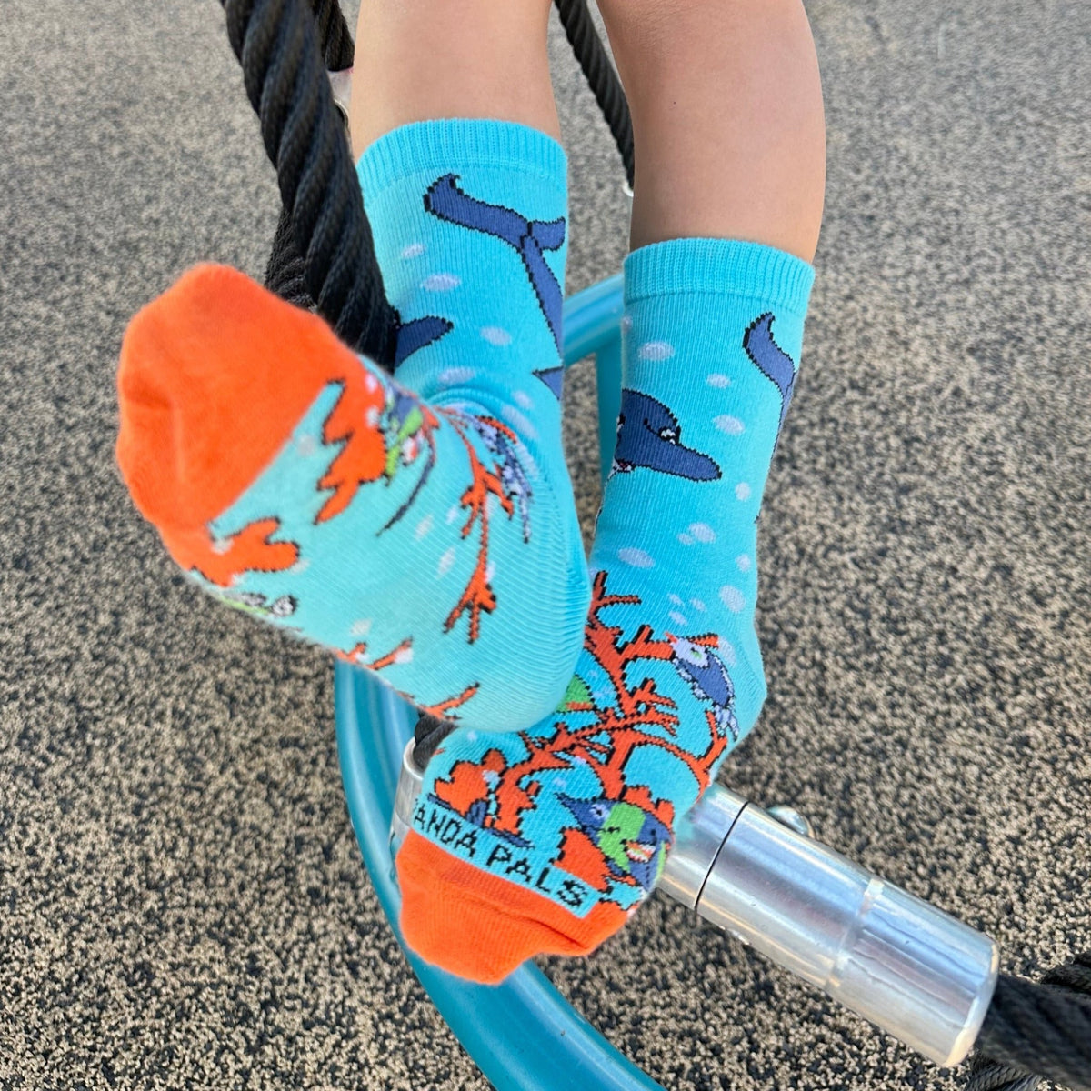 Dolphins in the Ocean Socks from the Sock Panda (Ages 3 - 7)