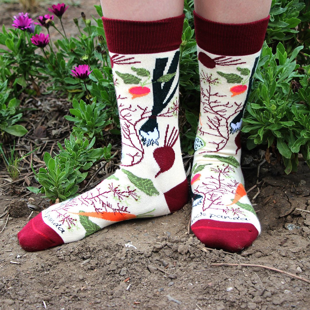 Fall Vegetable and Fruit Socks (Adult Medium - Women's Shoe Sizes 5 - 10) - Sock Panda