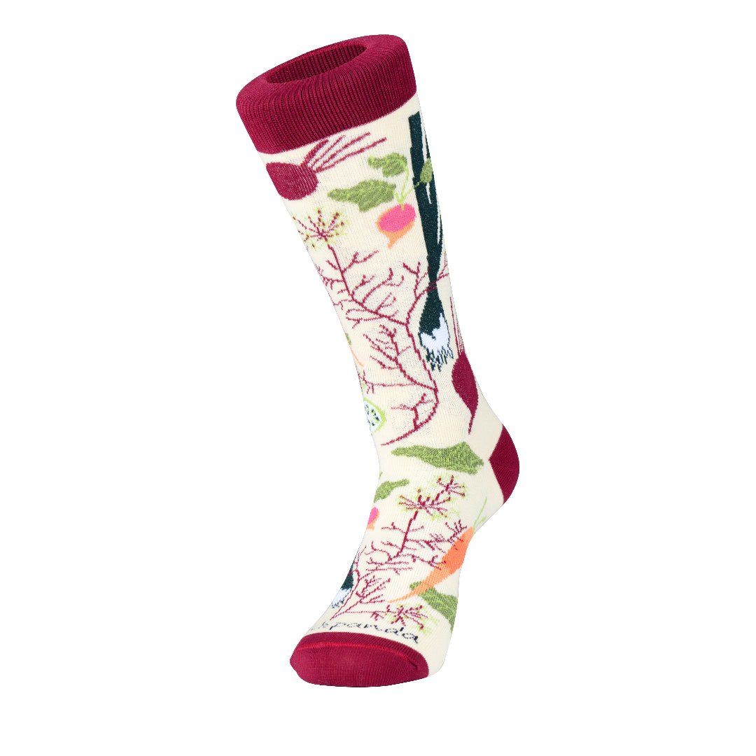 Fall Vegetable and Fruit Socks (Adult Medium - Women's Shoe Sizes 5 - 10) - Sock Panda