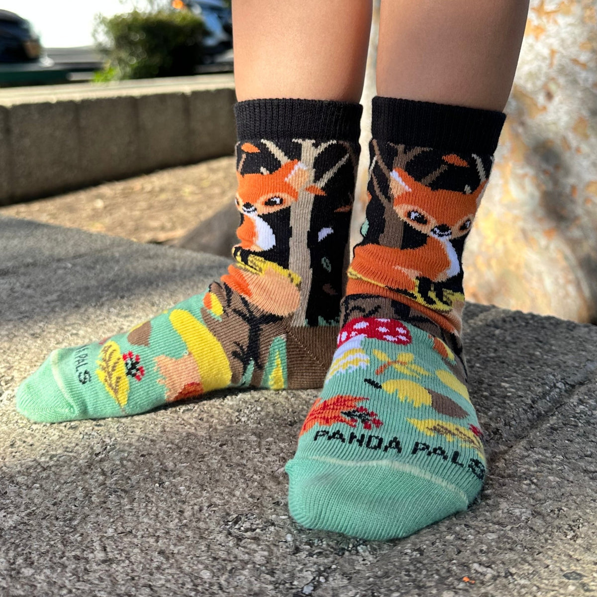 Fox in the Woods Socks from the Sock Panda (Ages 3 - 7)