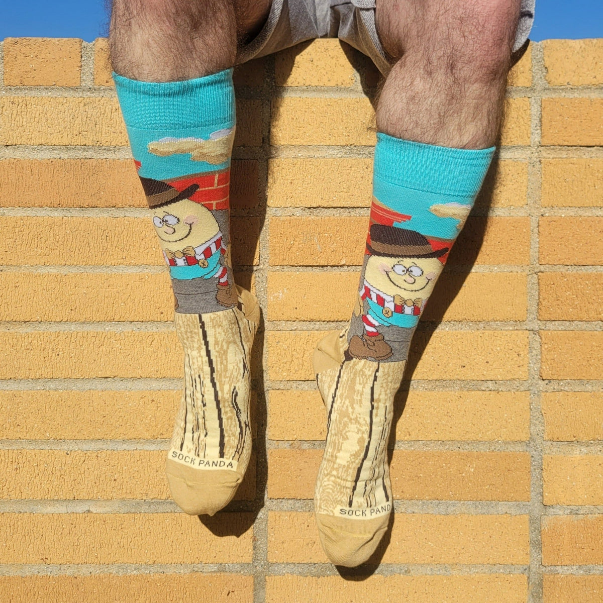 Humpty Dumpty Sits in a Chair Socks from the Sock Panda (Adult Large - Men's Shoe Sizes 8 - 12)