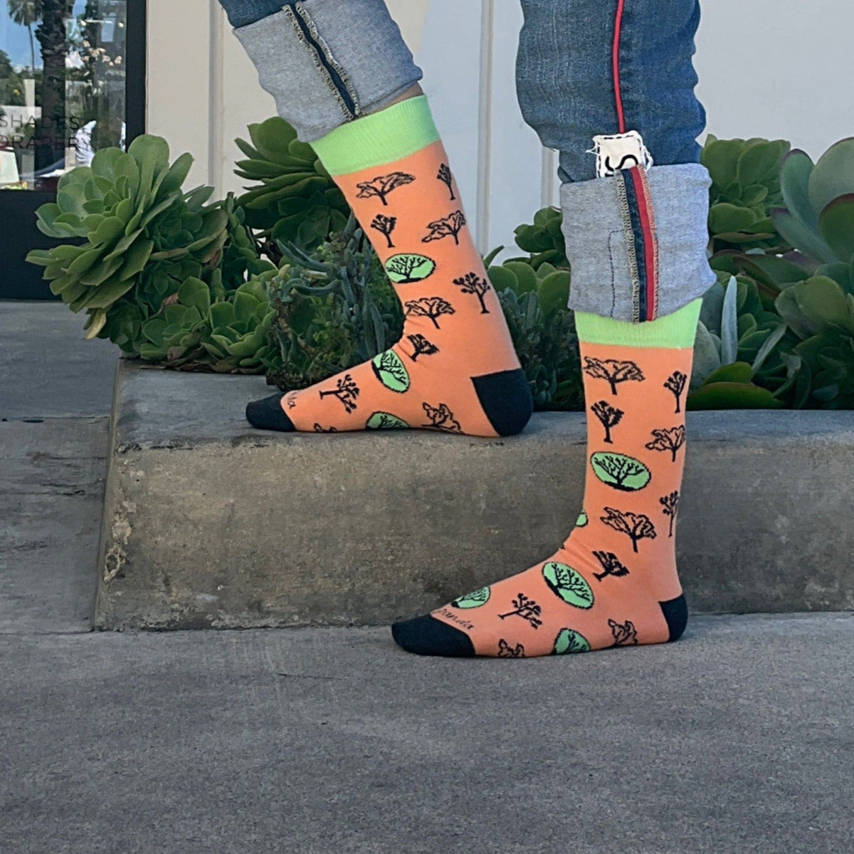 Joshua Tree Pattern Socks from the Sock Panda (Adult Medium - Women's Shoe Sizes 5 - 10)