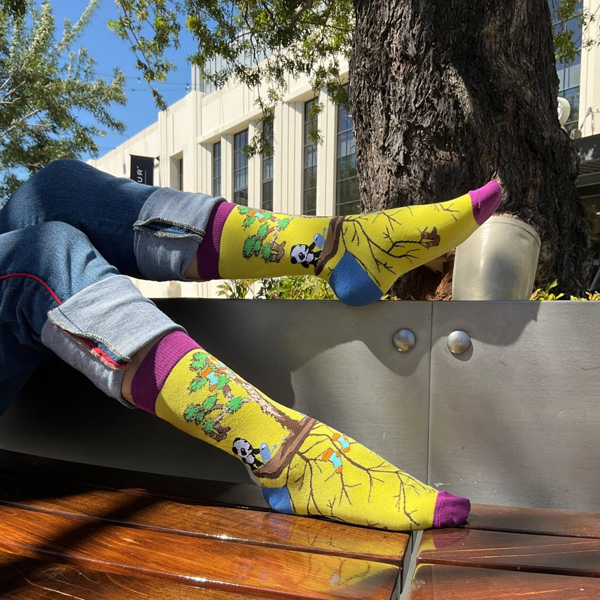 Pandas Watering the Sock Joshua Tree from the Sock Panda (Adult Medium - Women's Shoe Sizes 5 - 10)