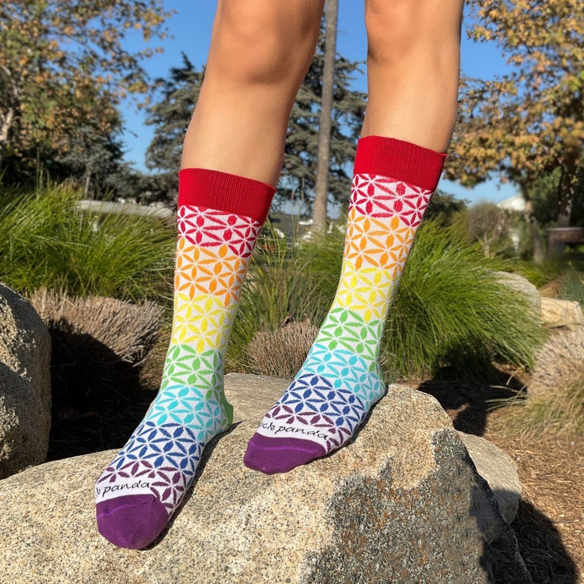 Rainbow Flower Pattern Socks from the Sock Panda (Adult Medium - Women's Shoe Sizes 5 - 10)