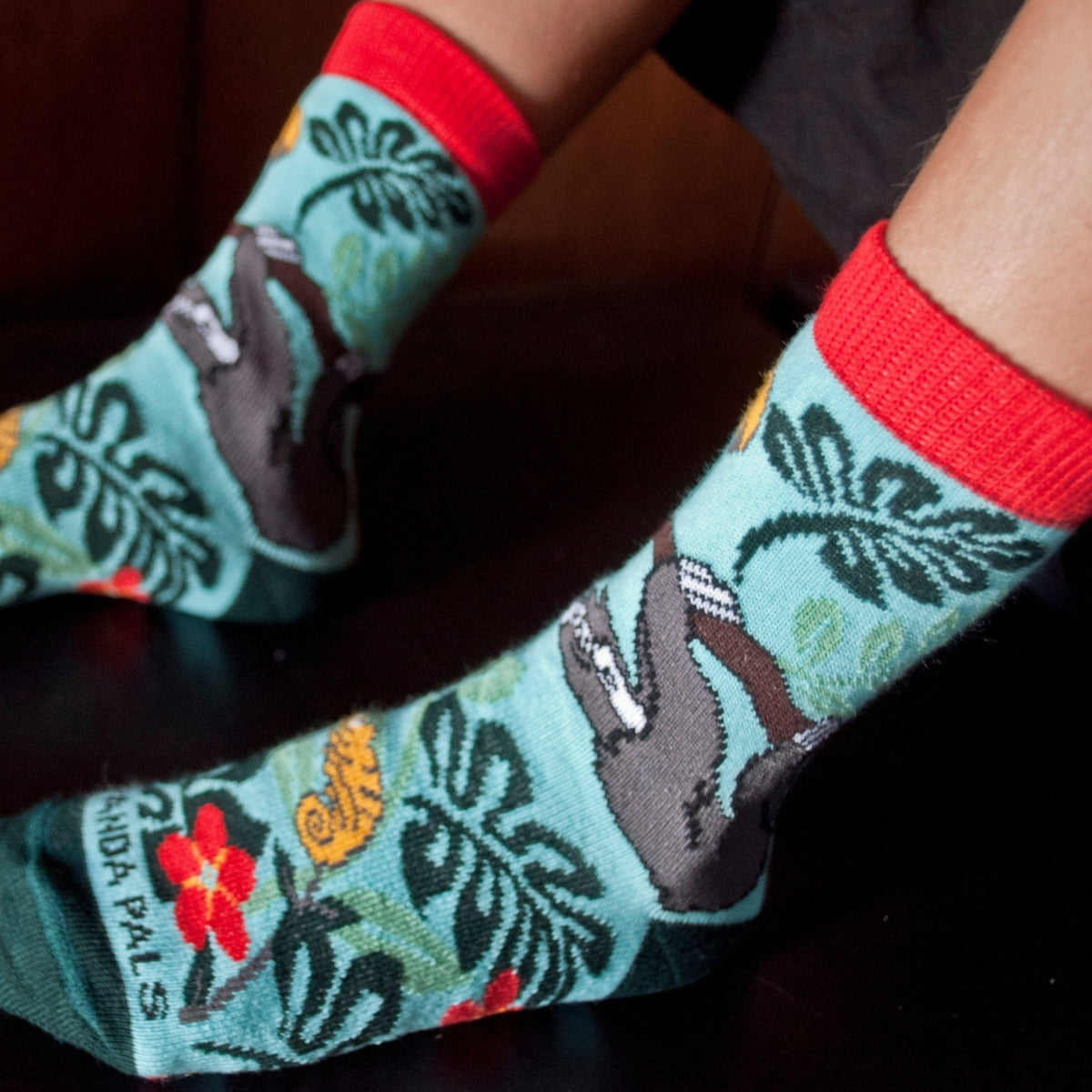 Sloth and the Forest Friend Socks (Ages 3 - 7)