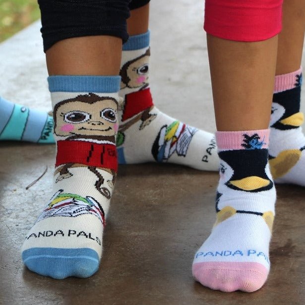 Sock Panda Baby Subscription from the Sock Panda