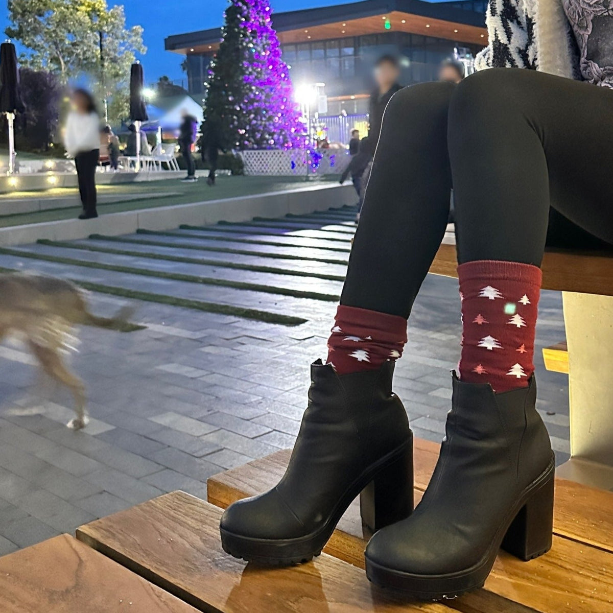 Winter Holiday Tree Patterned Socks from the Sock Panda